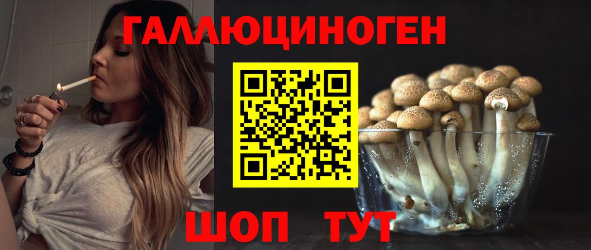 Приморско-Ахтарск  Галлюциногенные грибы мицелий  Вход с VPN 