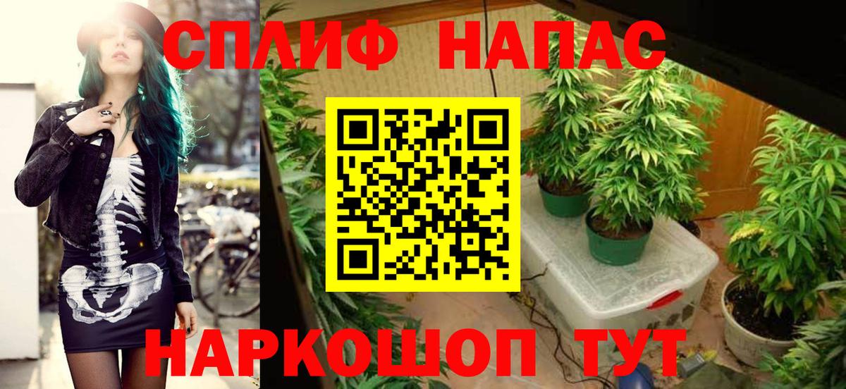 Конопля AK-47 Приморско-Ахтарск